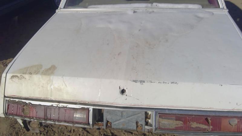 1978-1980 Regal (also See Somerset 85-87) Trunk/Decklid/Hatch/Tailgate