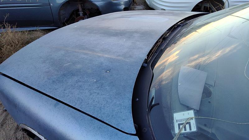 1988-1991 Cutlass (also See Calais 85-88) Hood