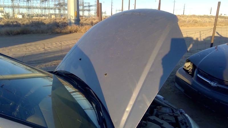 2004-2005 Honda Civic (see Also Delsol & Crx) Hood