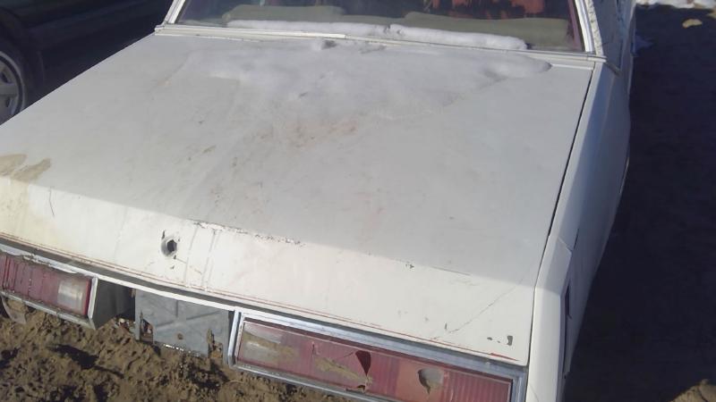 1978-1980 Regal (also See Somerset 85-87) Trunk/Decklid/Hatch/Tailgate
