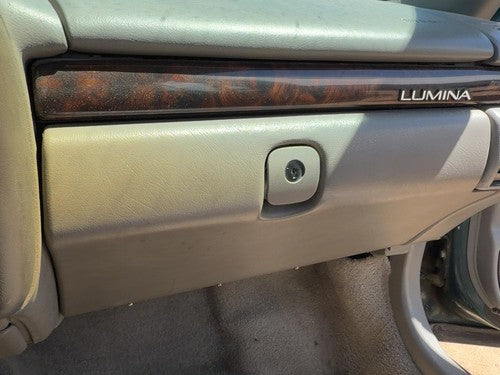 1995-2001 Chevy Lumina Glove Box Assembly Complete Door with Latch OEM Shale 92B