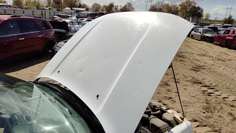 1995-1999 Subaru Legacy/ Outback Hood