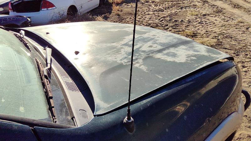 1998-2004 Honda Passport Hood