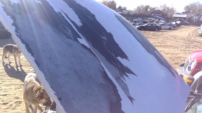 1991-1996 Chevrolet Caprice (80 & Up) Hood