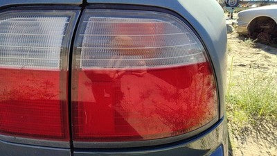 1996 1997 Honda Accord Passenger Right Outer Tail Light Oem Brake Lamp Rear