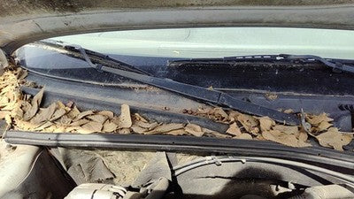 97-05 Chevy Malibu Passenger Right Windshield Wiper Arm Oem Blade Lever 22616390
