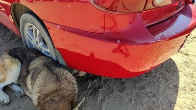 2003-2005 Chevy Cavalier Rear Bumper Cover Assembly Oem Back Red 74U 12335580
