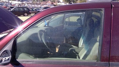 2002-2009 Trail Blazer Driver Left Front Side Window Door Glass Oem 25930347