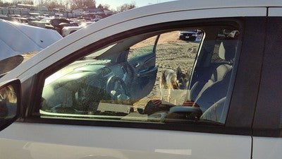 2009-2020 Dodge Journey Driver Left Front Side Window Door Glass Oem 5076887Ad