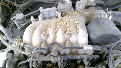 1998-1999 Ford Taurus Upper Intake Manifold Oem 3.0L Ohv F8dz9424aa