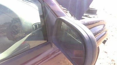 2006-2009 Trail Blazer Passenger Right Side Mirror Door Mounted Oem 15808570