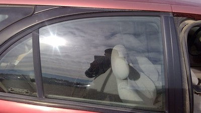 1996-2000 Saturn Sw2 Passenger Right Rear Side Window Door Glass Oem Back