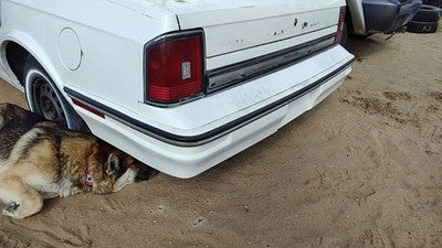 1985-1988 Olds Ciera Rear Bumper Cover Assembly Oem Back White 22527433