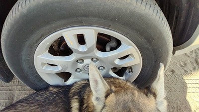 2004-2006 Acura Mdx 17' Aluminum Wheel Oem Factory 10 Spoke Rim