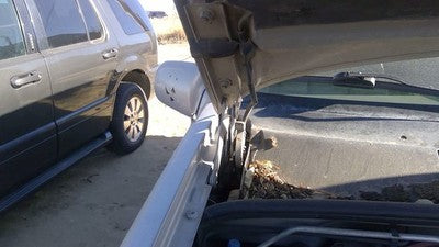 1993-1998 Jeep Grand Cherokee Passenger Right Hood Hinge Assembly Oem Silver
