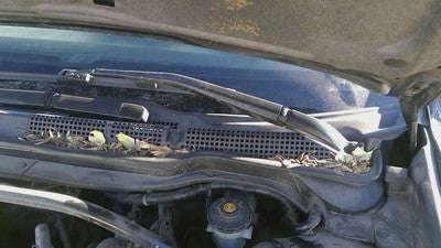 2004 Acura Tsx Driver Left Windshield Wiper Arm Oem Blade Lever 76600Seag01
