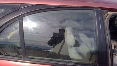1996-2000 Saturn Sw2 Passenger Right Rear Side Window Door Glass Oem Back