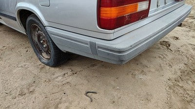 1990-1992 Volvo 740 Rear Bumper Cover Assembly Oem Back 13698881