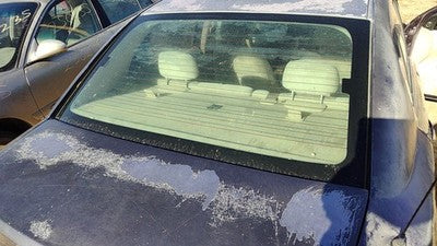 2005-2010 Chevy Cobalt Back Glass Rear Window Oem 15257761