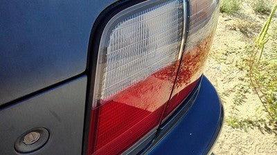 1996-1997 Honda Accord Passenger Right Inner Tail Light Oem Brake Lamp Rear