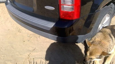 2011-2017 Jeep Patriot Rear Bumper Cover Assembly Oem Back Black Px8 68091510Aa