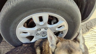 2004-2006 Acura Mdx 17' Aluminum Wheel Oem Factory 10 Spoke Rim