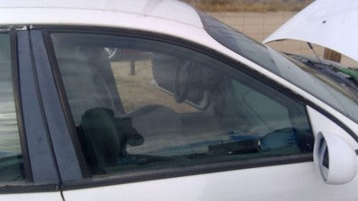 1996-2007 Ford Taurus Passenger Right Front Side Window Door Glass Oem