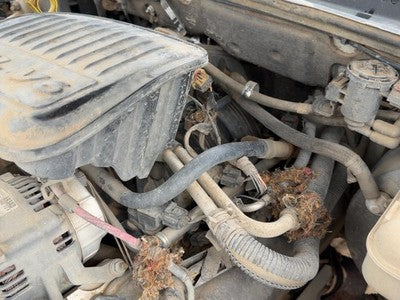 2004-2011 Dodge Dakota Complete Fuel Rail With Injectors Set Loaded Oem 3.7L