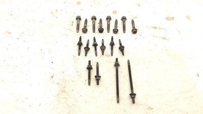 1996-2001 S10 Blazer Set Of Bolts For Intake Manifold Oem 4.3L 17113342