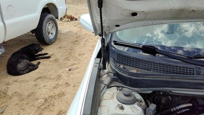11-15 Sonata Passenger Right Hood Hinge Assembly Shimmering White Mica Wj