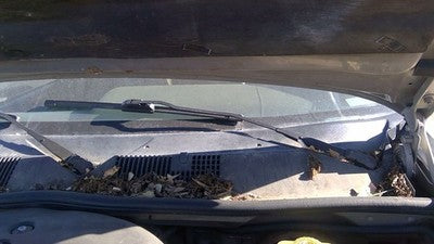 1993-1998 Jeep Grand Cherokee Driver Left Windshield Wiper Arm Oem Blade Lever