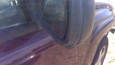 2006-2009 Trail Blazer Passenger Right Side Mirror Door Mounted Oem 15808570