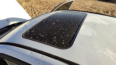 2001-2006 Hyundai Elantra Sun Roof Glass Oem Top Window 816102D000