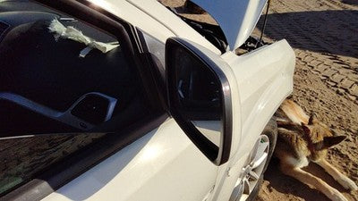 11-15 Dodge Journey Passenger Right Side Mirror Door Mounted Oem White Pw3