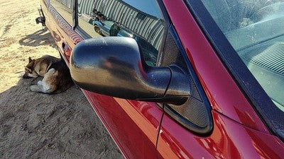 2005-2007 Town & Country Passenger Right Side Mirror Door Mounted Oem 4894404Ad