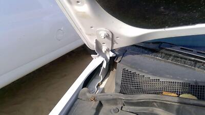 2010-2017 Gmc Terrain Passenger Right Hood Hinge Assembly Oem White Gaz