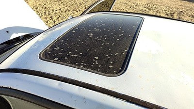2001-2006 Hyundai Elantra Sun Roof Glass Oem Top Window 816102D000