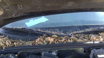 1996-1999 Buick Park Ave Passenger Right Windshield Wiper Arm Oem Blade Lever