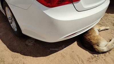2011-13 Hyundai Sonata Rear Bumper Cover Assembly Back Shimmering White Mica Wj