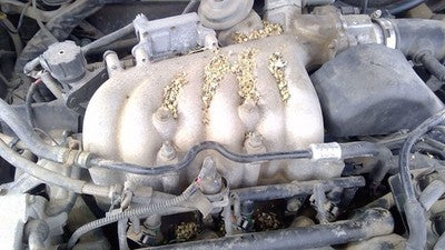 1998-1999 Ford Taurus Upper Intake Manifold Oem 3.0L Ohv F8dz9424aa