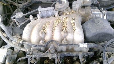 1998-1999 Ford Taurus Upper Intake Manifold Oem 3.0L Ohv F8dz9424aa