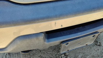 1998-2002 Lincoln Navigator Front Bumper Cover Assembly Oem Gold Bi Yl7z17d957aa