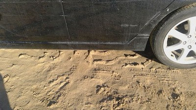2004-2005 Acura Tsx Driver Left Lower Rocker Moulding Side Skirt Oem