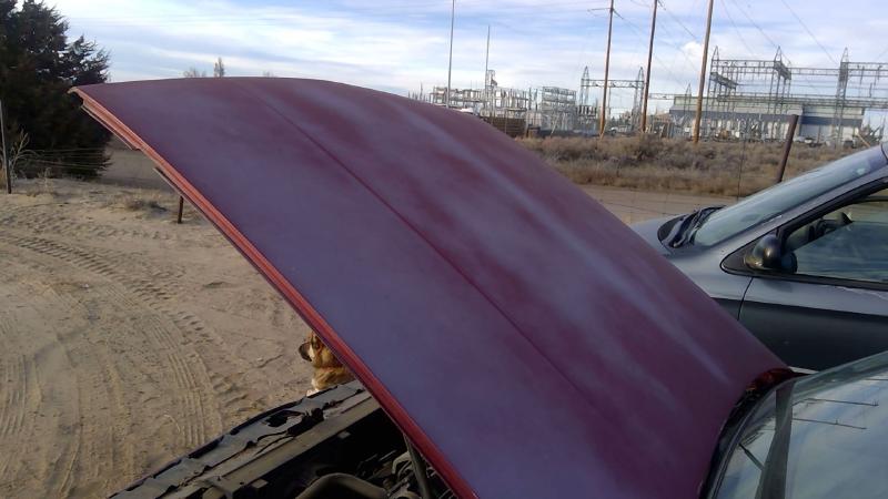 1985-1991 Oldsmobile Eighty-eight (80 & Up) Hood