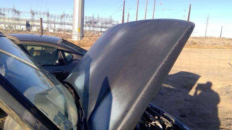 1996-1998 Chevrolet Geo Tracker Hood