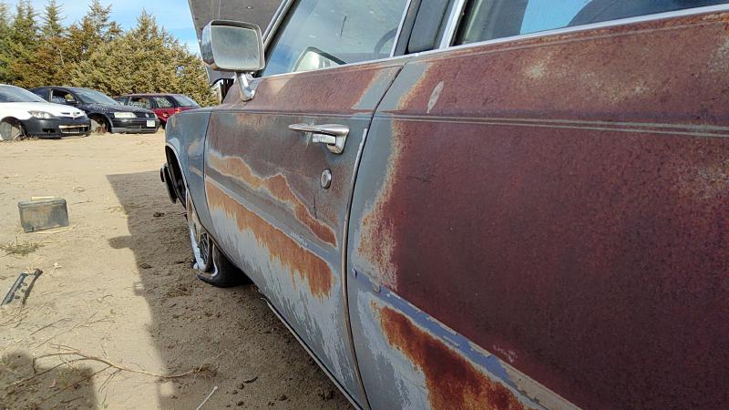 1980-1989 Cadillac Deville (80 & Up) Front Door LH