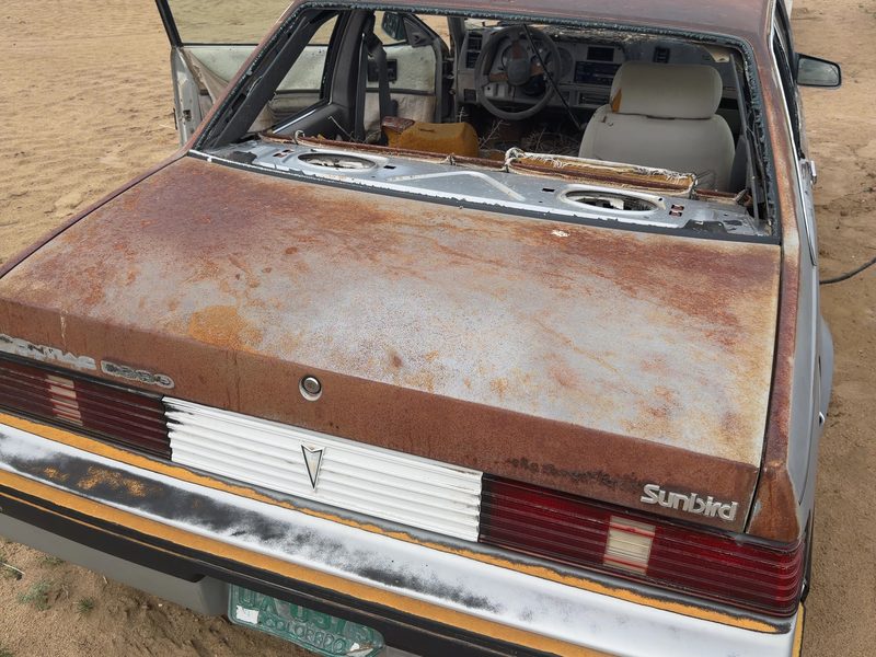 1982-1989 Pontiac P2000 (82-84) Trunk/Decklid/Hatch/Tailgate