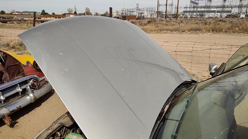1999-2002 Volkswagen Golf Except GTI Hood