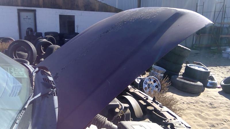 2002-2009 Chevrolet Trail Blazer (113 W.b.) Hood