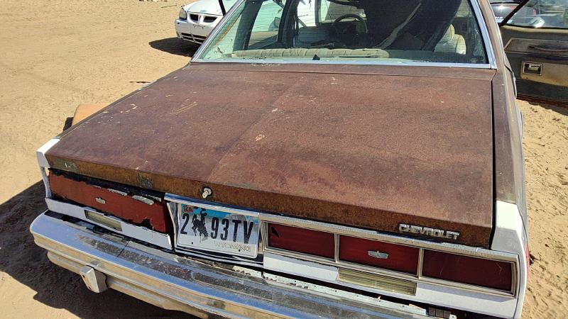 1977-1979 Chevrolet (full Size) Trunk/Decklid/Hatch/Tailgate